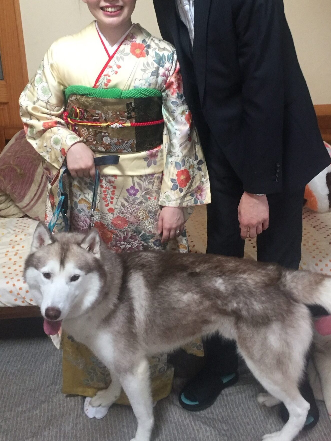 後悔しないために シベリアンハスキーを飼うために必要なこと ハスキー犬のいる暮らし ヴィヴィアン日記 後悔しないために シベリアンハスキーを飼うために必要なこと ハスキー犬のいる暮らし ヴィヴィアン日記